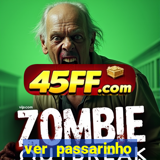 ver passarinho morto significado espiritual
